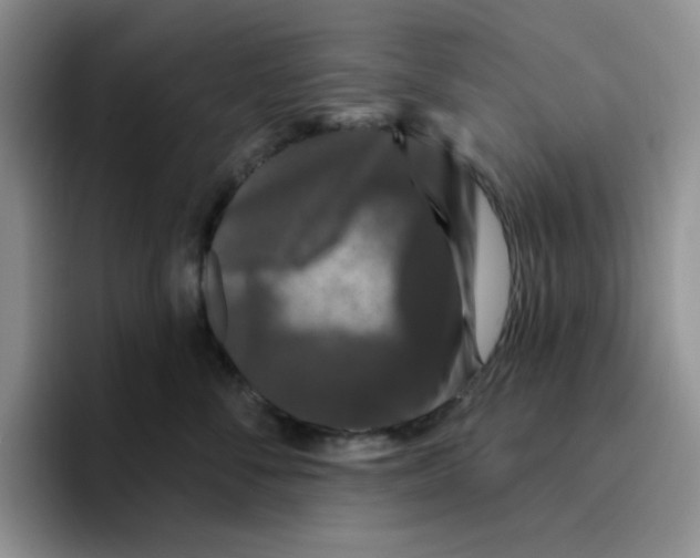 X0000096410716200802211225