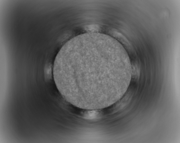 X0000096410717200802211225