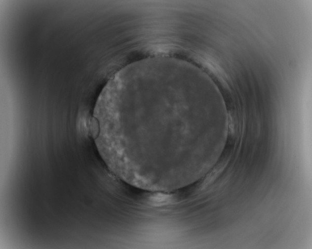 X0000096410718200802211225