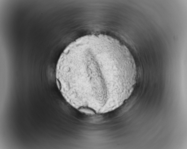 X0000096410719200802211225