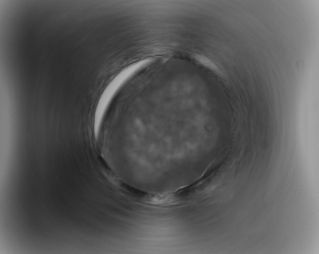 X0000096410720200802211225