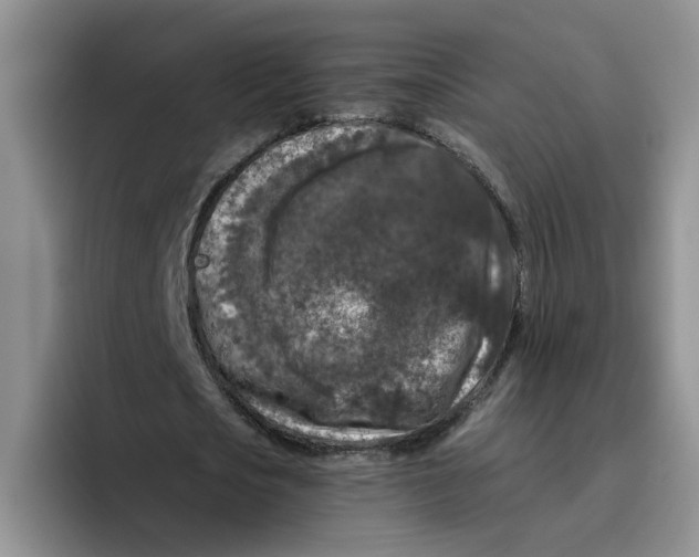 X0000096410721200802211224