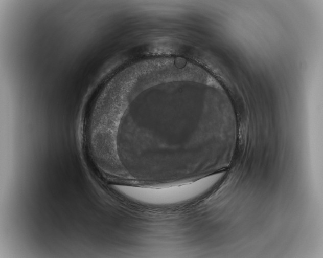 X0000096410722200802211224