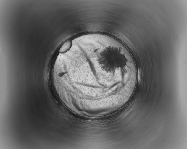X0000096410723200802211224