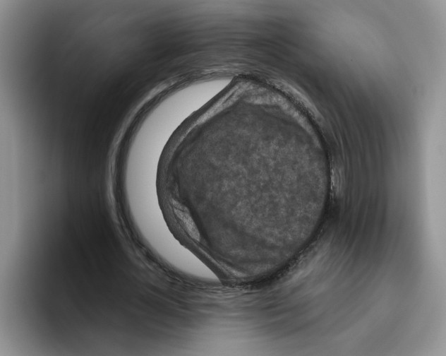 X0000096410724200802211224