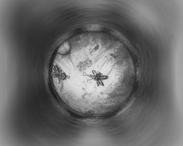 X0000096410725200802211224