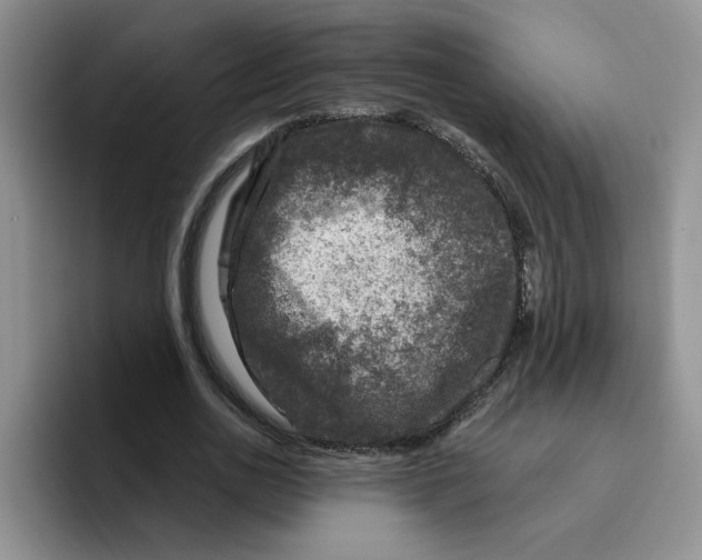 X0000096410726200802211224