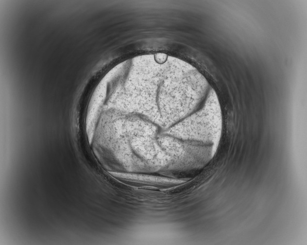 X0000096410727200802211225