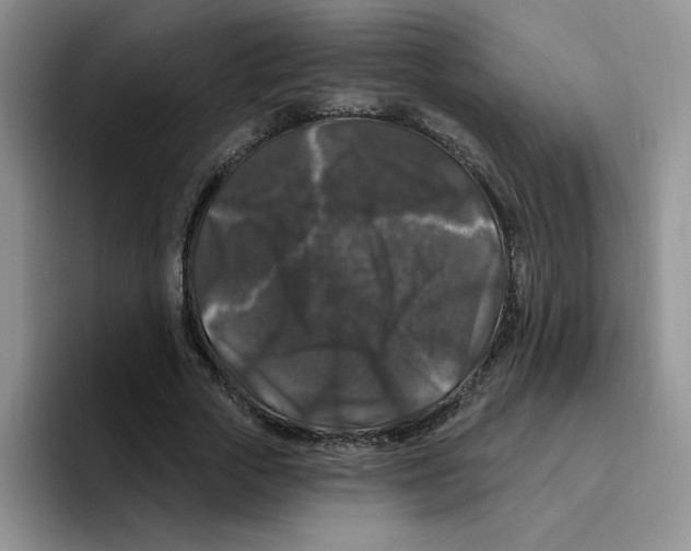 X0000096410729200802211225