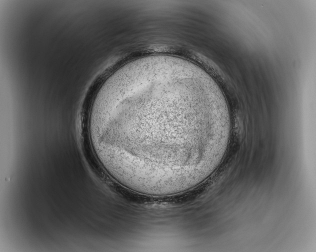 X0000096410730200802211225