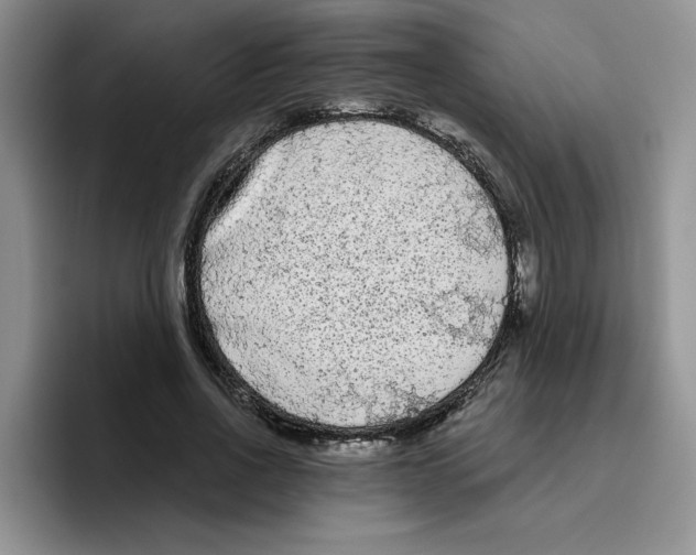 X0000096410734200802211225