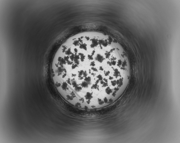 X0000096410735200802211225