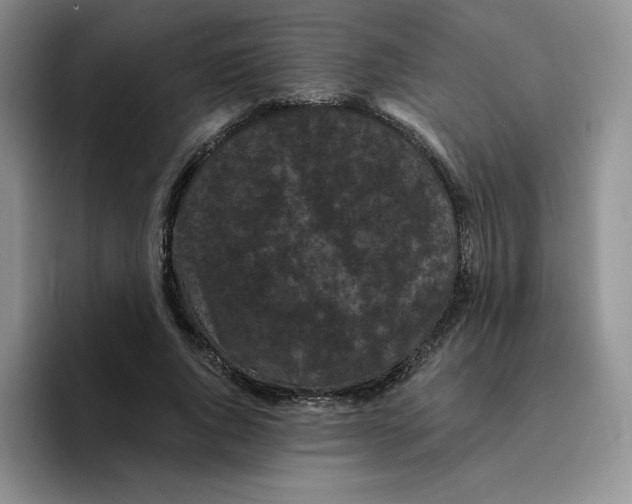 X0000096410736200802211225