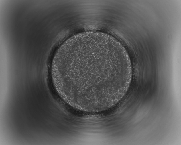 X0000096410738200802211225