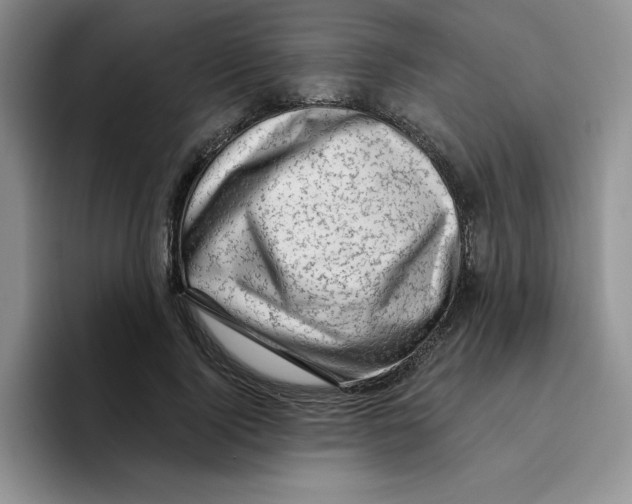 X0000096410740200802211225