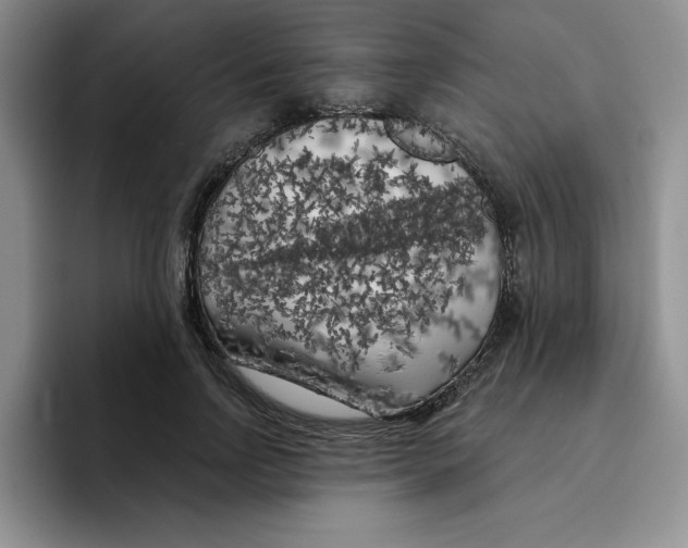 X0000096410742200802211225
