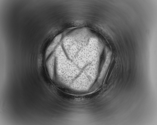 X0000096410744200802211225