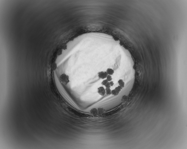 X0000096410745200802211225