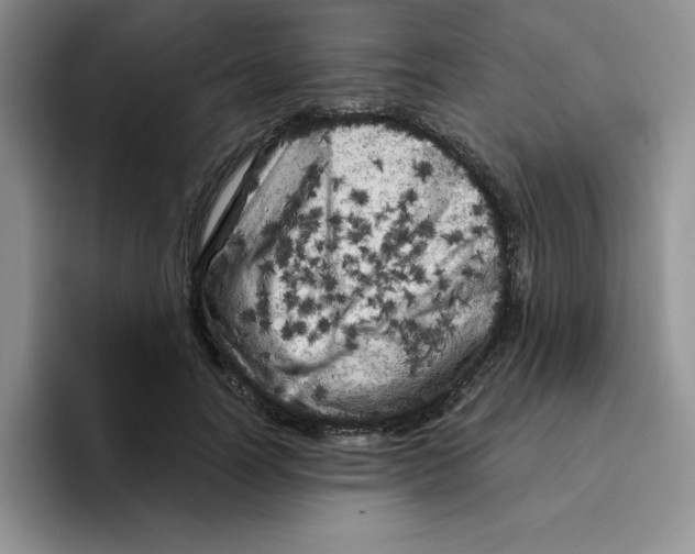 X0000096410746200802211225