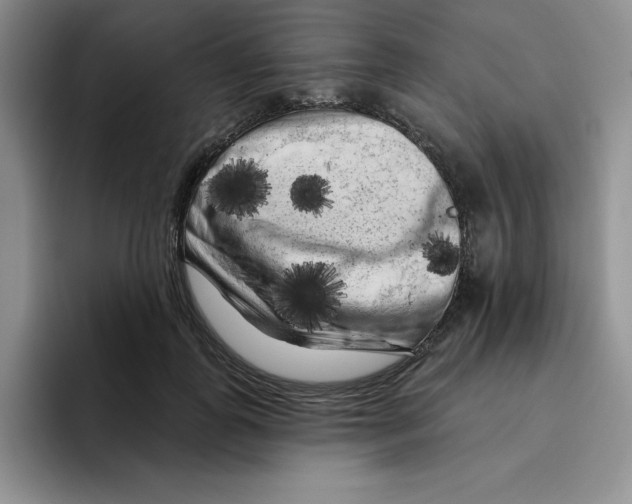 X0000096410747200802211225
