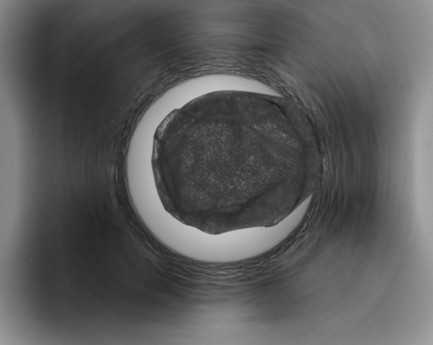 X0000096410750200802211225