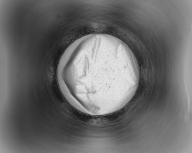 X0000096410752200802211225