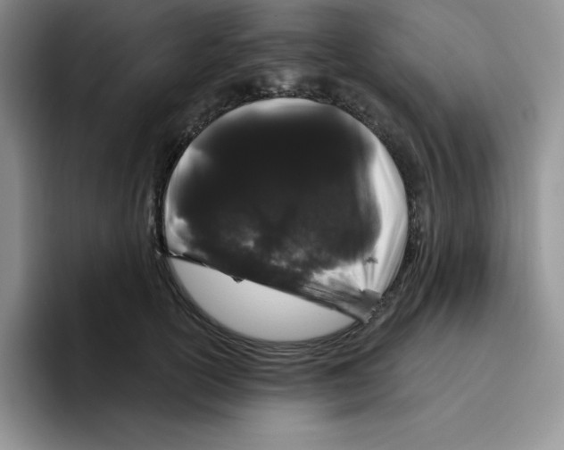 X0000096410754200802211225
