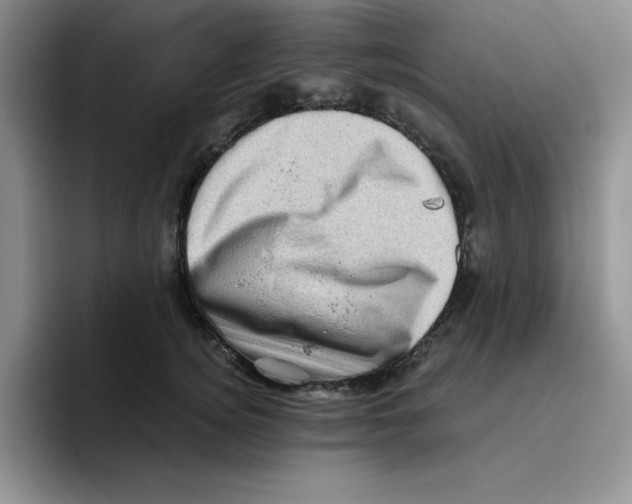 X0000096410756200802211225