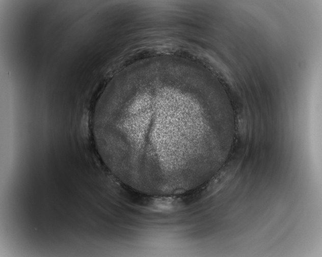 X0000096410757200802211225