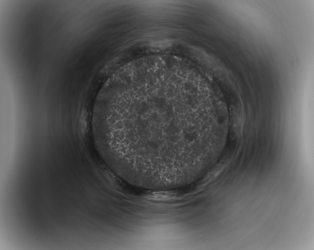 X0000096410758200802211225