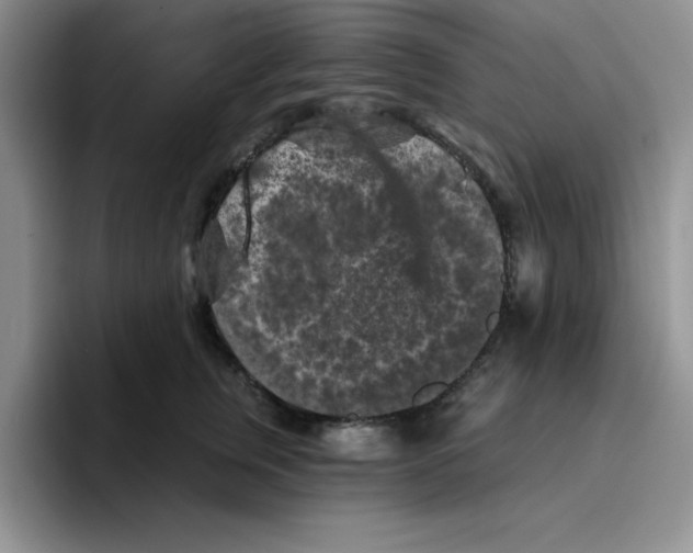 X0000096410759200802211225