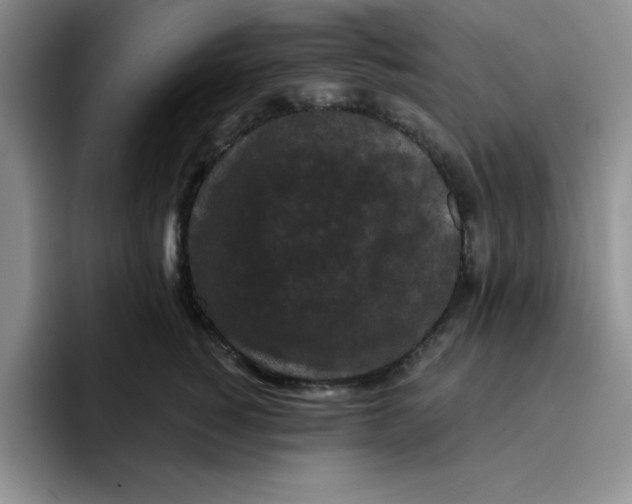 X0000096410760200802211225