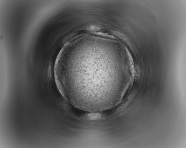 X0000096410762200802211225