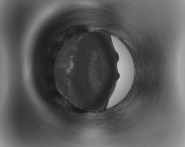 X0000096410763200802211225