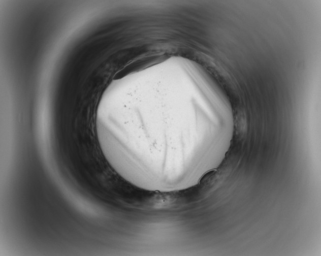 X0000096410764200802211225