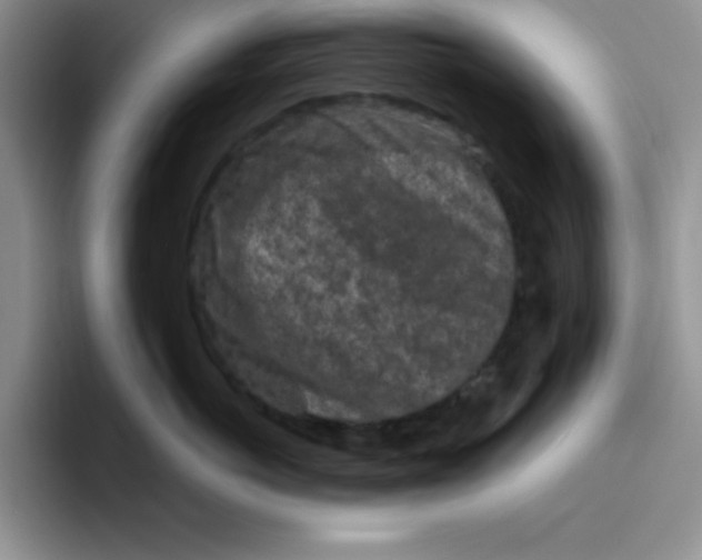 X0000096410766200802211225
