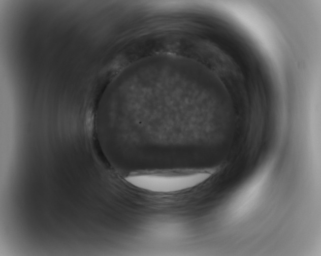X0000096410767200802211225