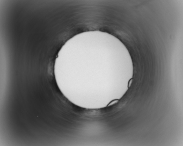 X0000096410768200802211225