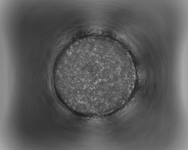 X0000096410769200802211224