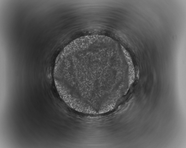 X0000096410771200802211224