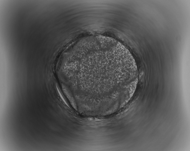 X0000096410772200802211224