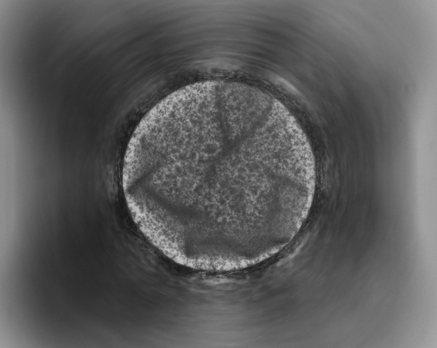 X0000096410774200802211224