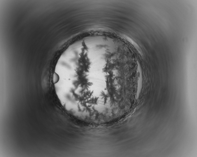 X0000096410775200802211224