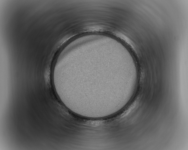 X0000096410778200802211224