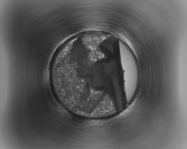X0000096410779200802211224