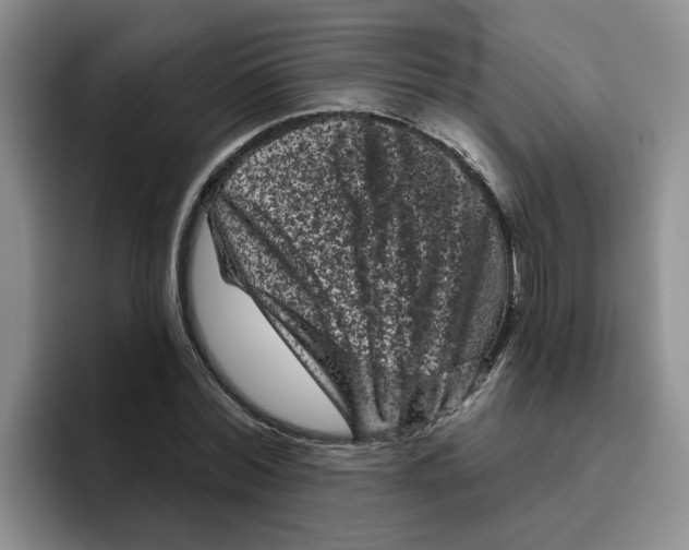 X0000096410780200802211224