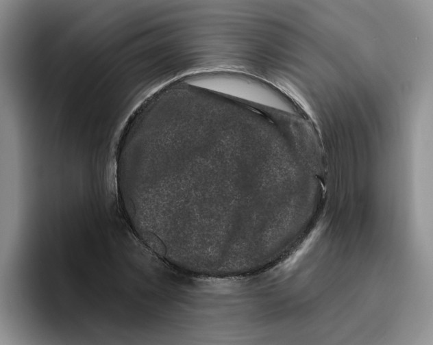X0000096410781200802211224