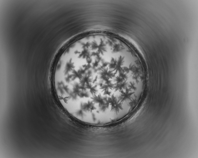 X0000096410783200802211224