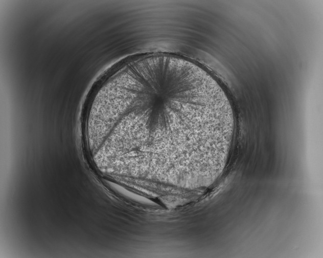 X0000096410784200802211224