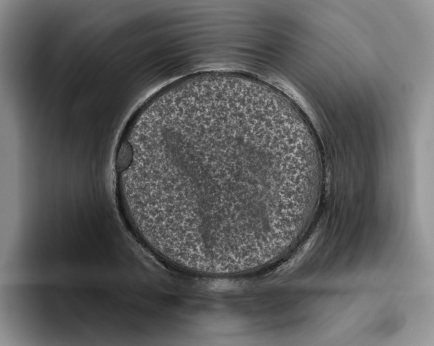 X0000096410787200802211224